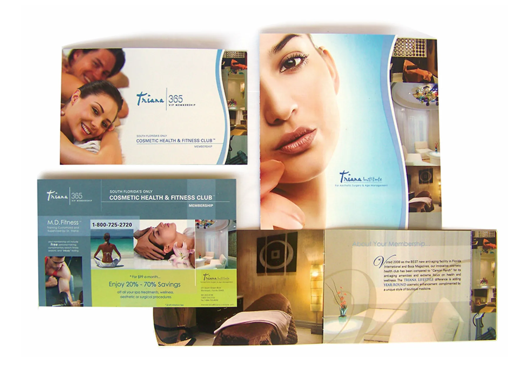Triana Institute membership brochures and mailers