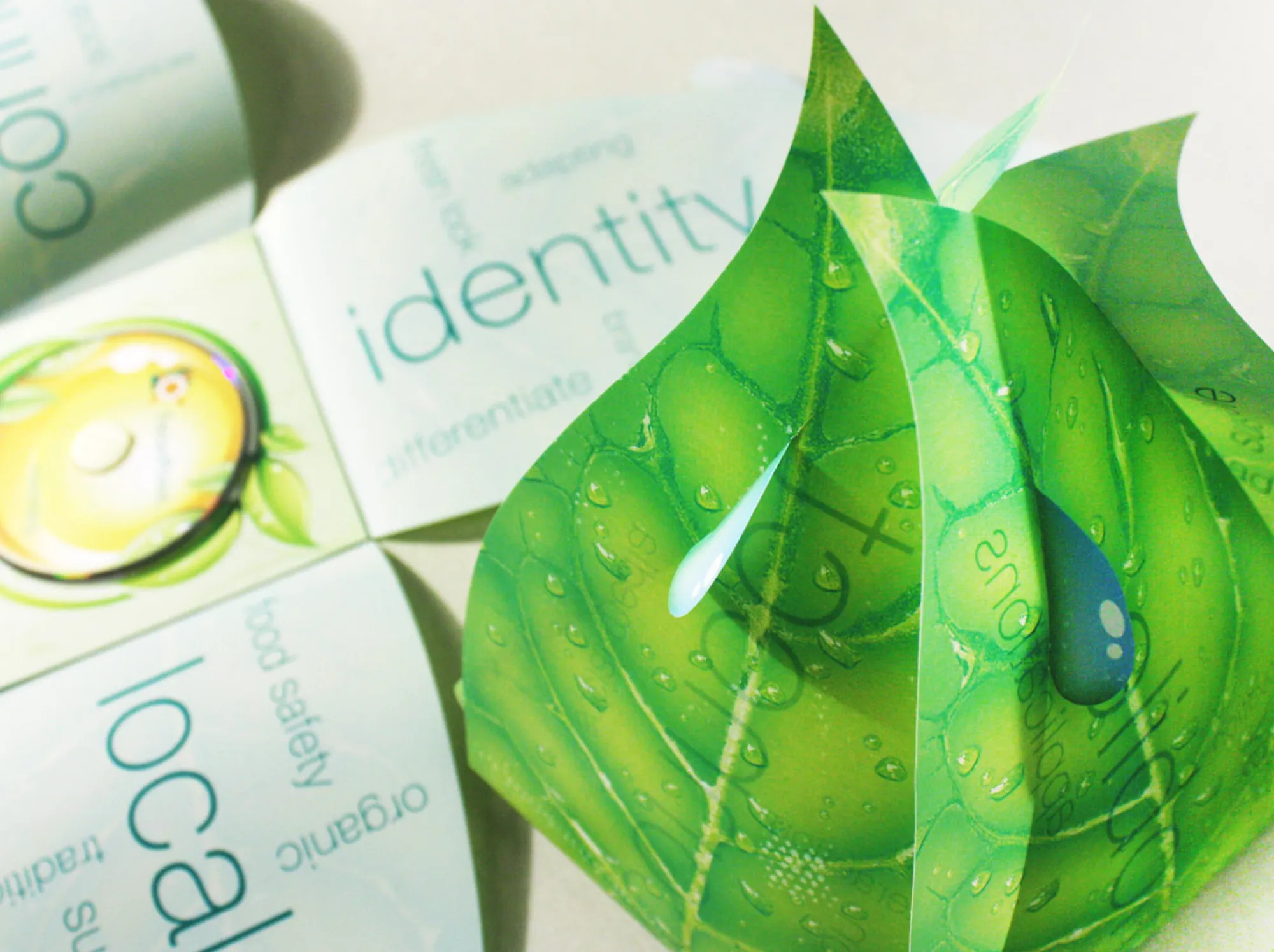 FreshPoint leaf-shaped presentation box, opened to panels for identity, local, organic and food safety